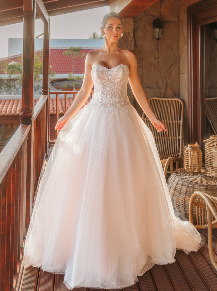 LISA DONETTI 2631