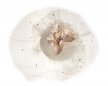 Emmerling Hair Accessory 20292