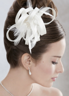 Emmerling Hair Accessory 20110