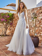 LISA DONETTI 2320