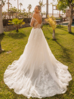 LISA DONETTI 2613