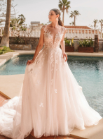 LISA DONETTI 2617