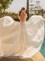 LISA DONETTI 2624