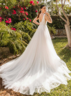 LISA DONETTI 2626