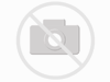 Emmerling Hair Vine 20147